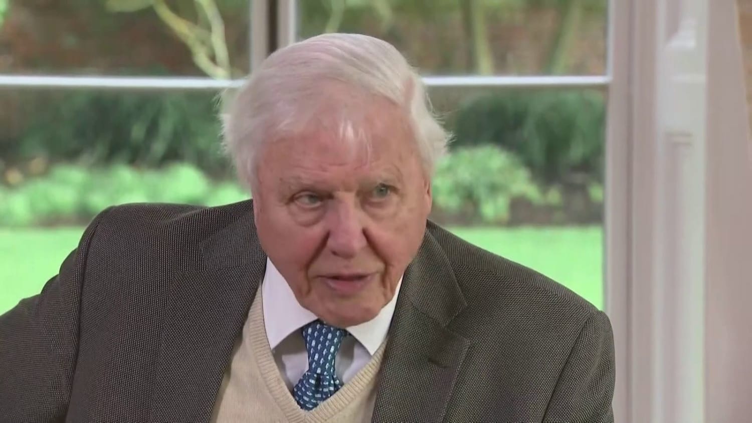 Sir David Attenborough hopes coronavirus crisis will not hinder UK climate change summit