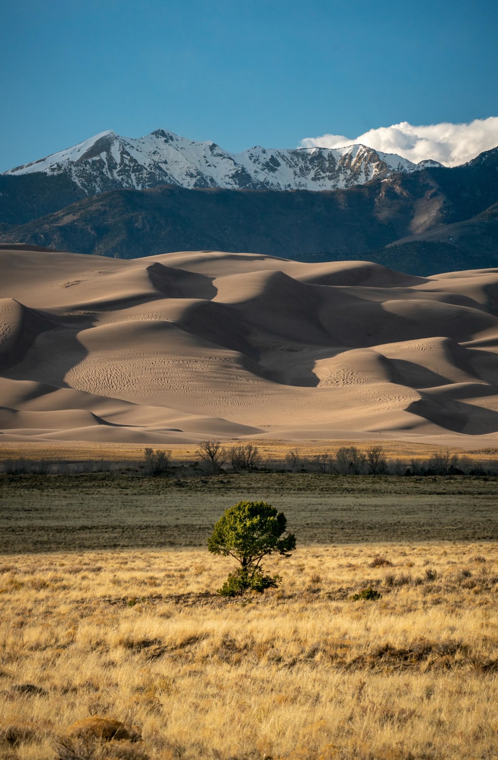 Great Sand Dunes National Park in CO