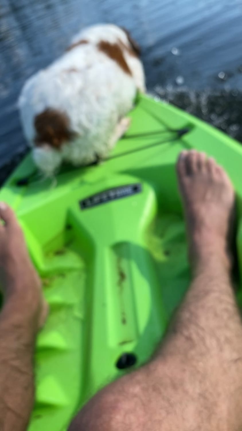 My Dog Pulling Her Own Weight on the Kayak