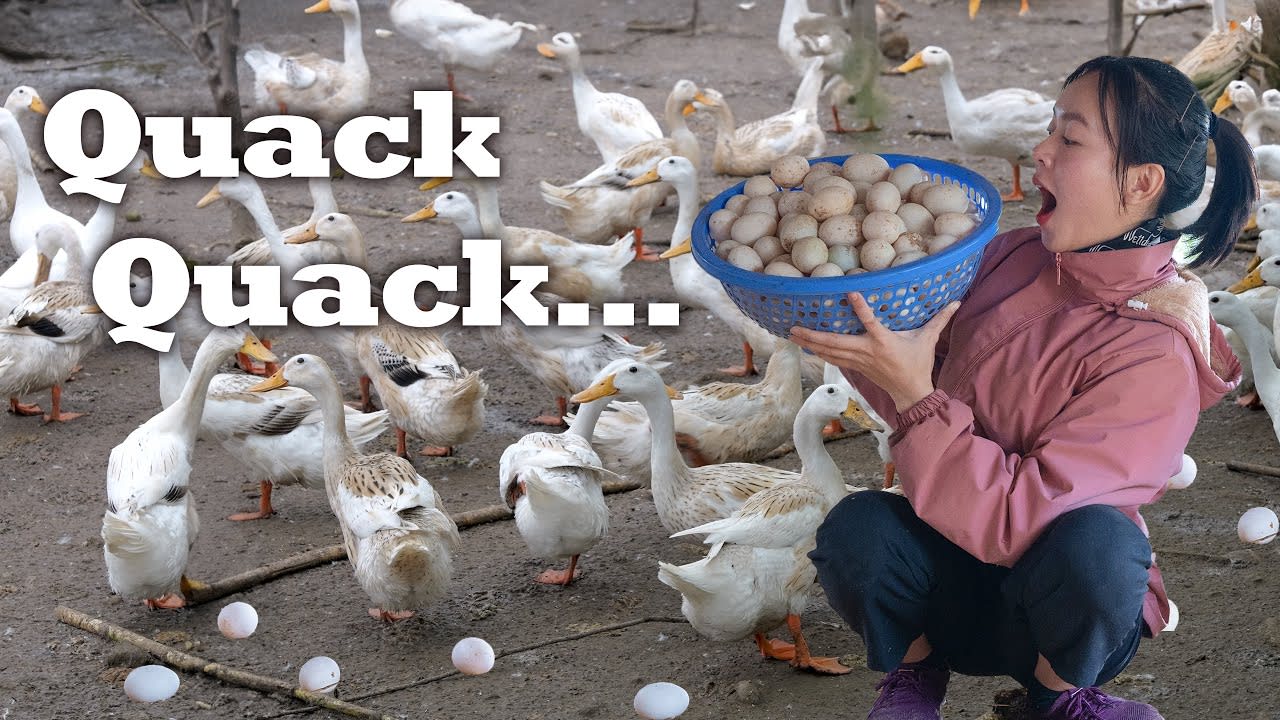 The duck eggs are harvested and brought to the market for sale I also prepare and cook various dish