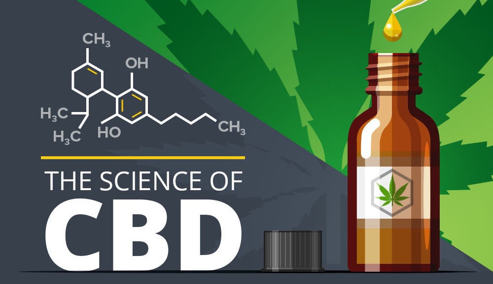 An Infographic About the Science of CBD