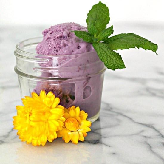 Blueberry Buttermilk Ice Cream