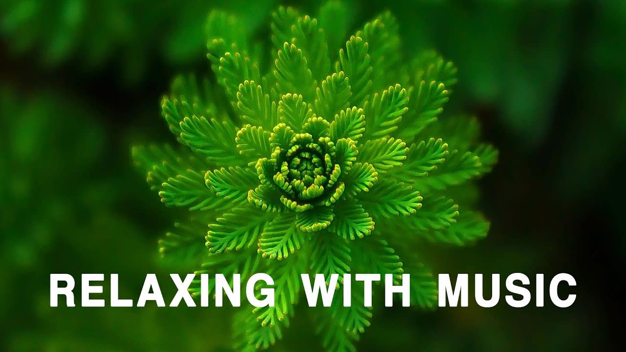 Relaxing With Music - Calm Music, Meditation Music, Stress Relief, Yoga, Morning Vibes, Good Vibes..