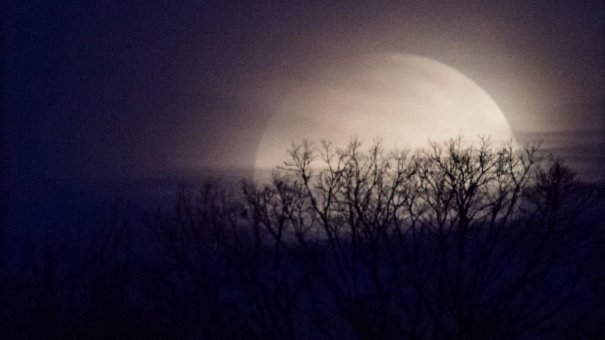 Rare full moon on Halloween will be seen across the US for first time in 76 years