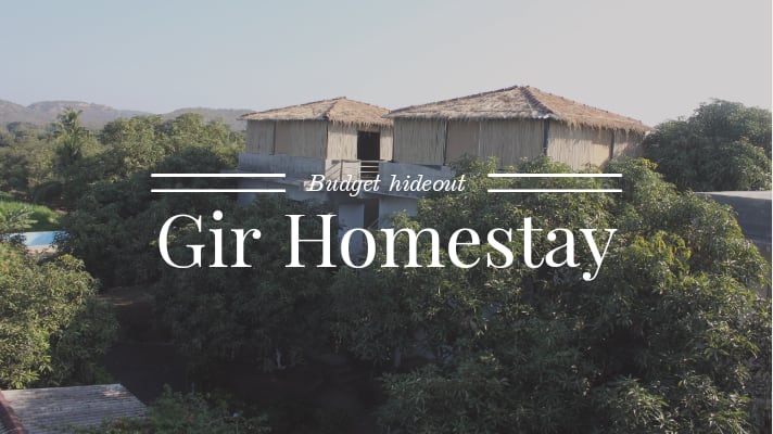 Homestay in Gir at Gir Vanraj Farm - A sustainable home away from home - Explore with Ecokats
