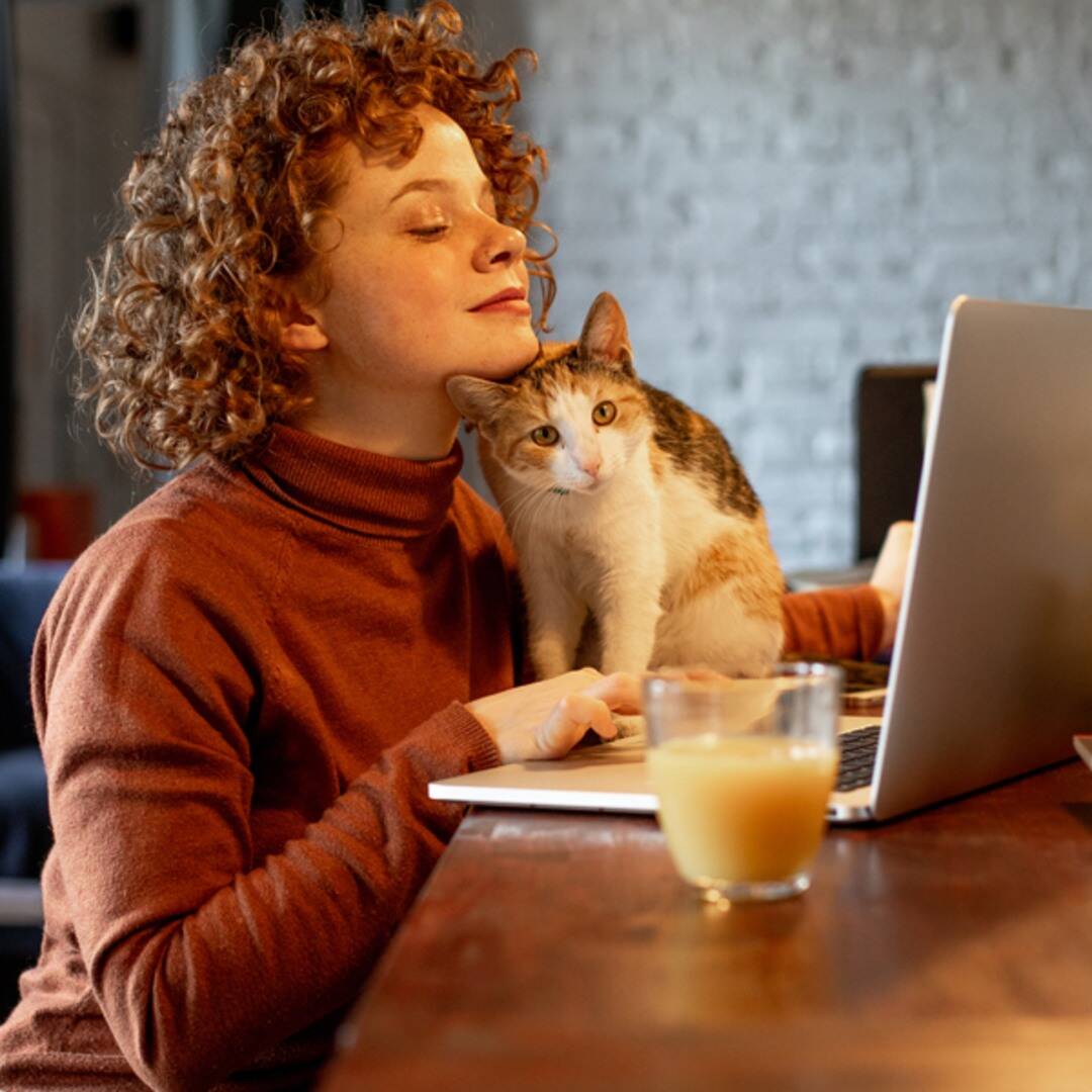 17 Things to Keep Your Cat Busy While You (Try to) Work From Home