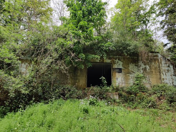 Bunkers in Staatswald