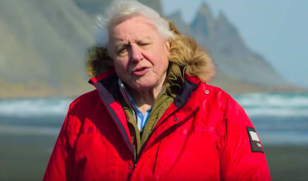 BBC Apologizes For Incorrect Usage Of Animal Noise In Nature Documentary
