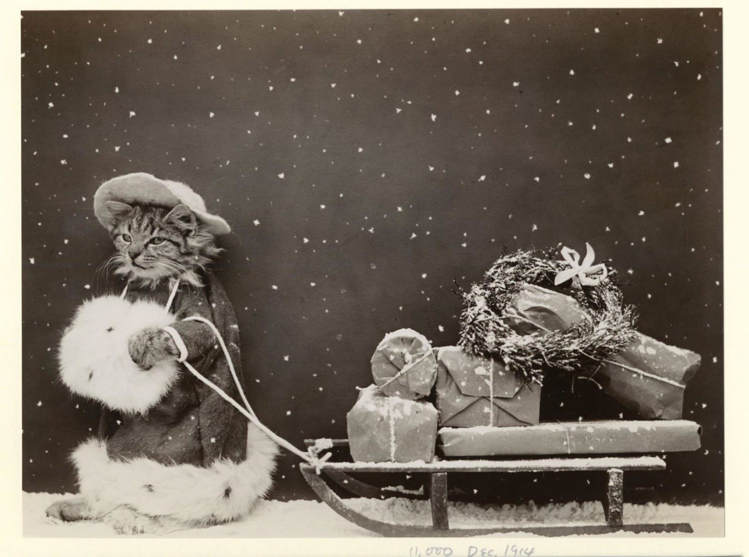 Christmas shopper kitty, 1914
