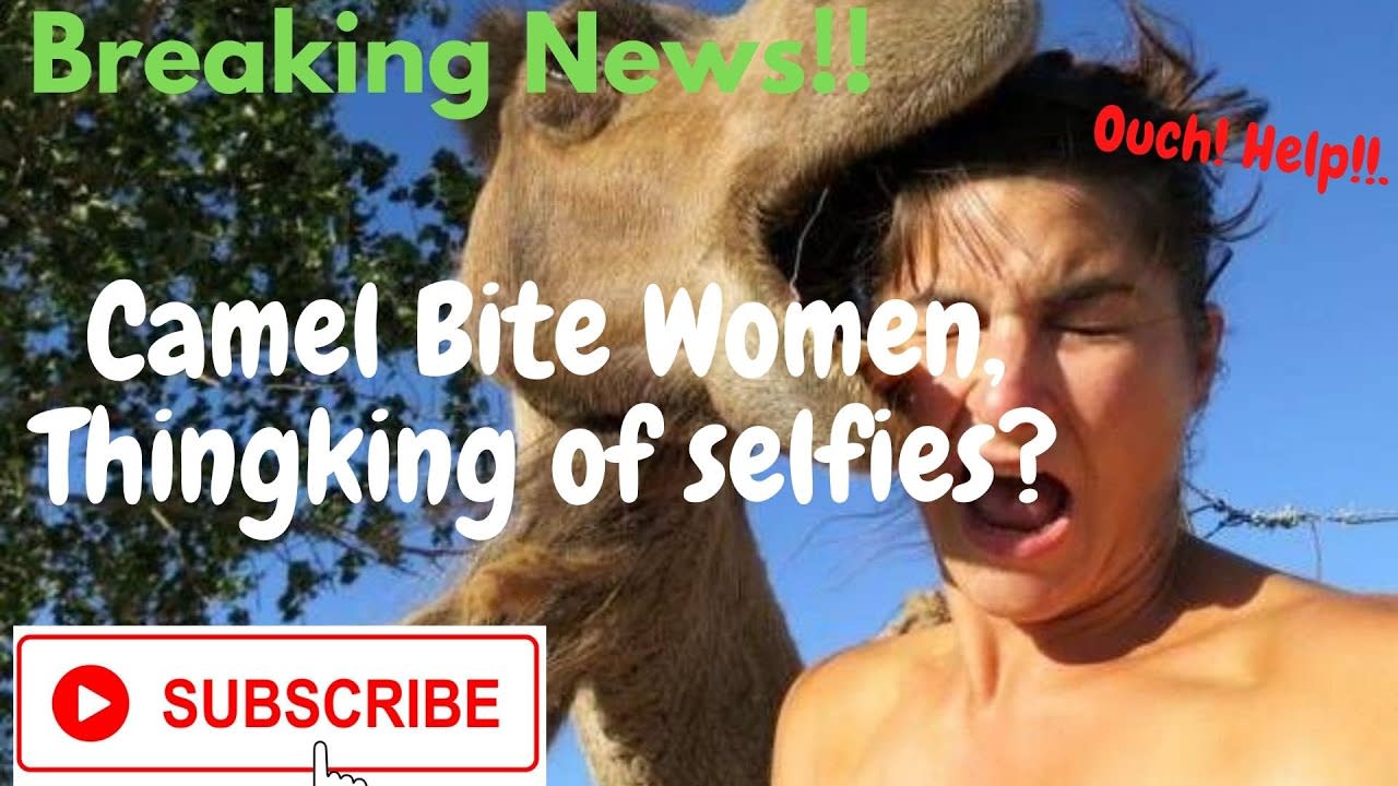 Thinking of Taking Selfies with Animals?
