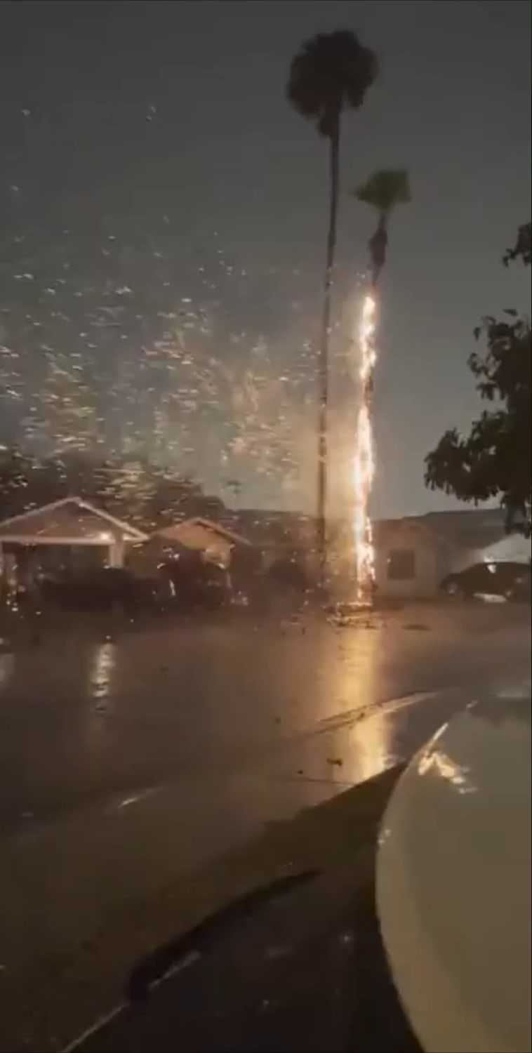 Palm tree on fire after lightning strike during a monsoon