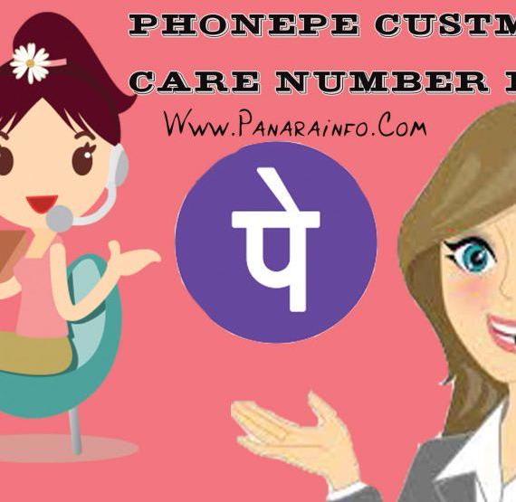 PhonePe Toll Free Number India 24*7 Day Working ( 01246789345 )