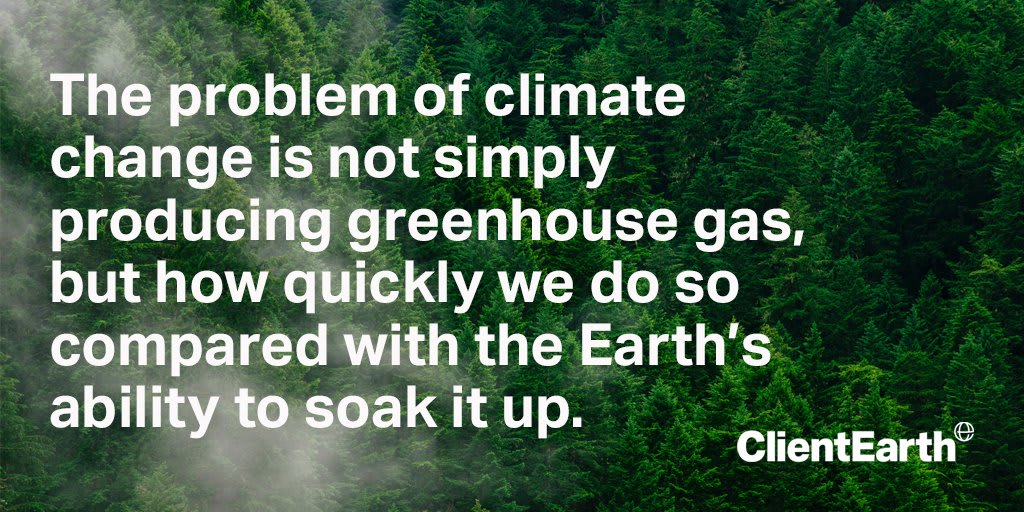 Human activity is damaging Earth's biggest carbonsinks – forests and oceans, altering their ability to absorb excess CO2. We asked journalist @davidneiladam to investigate how carbon sinks are vital for life on Earth, and why we need to protect them: