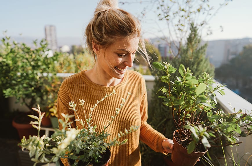 'Companion planting' is the greenest method to make your herb garden thrive
