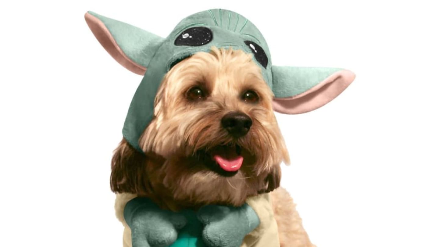 The Cuteness Is Strong With This Baby Yoda Pet Costume