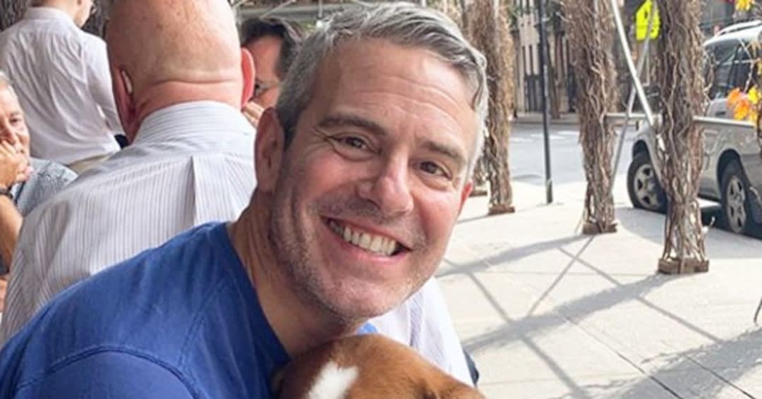 Andy Cohen Gives an Update on Beloved Dog Wacha Following Rehoming