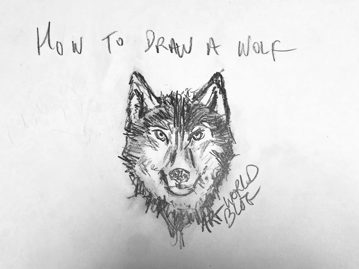 Wolf Drawing Easy Step by Step Tutorial