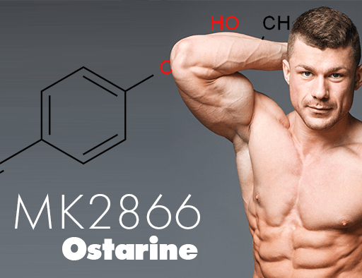 How will Ostarine Work For You?