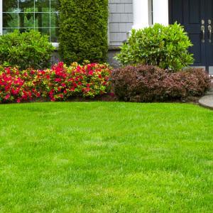 3 Vital Reasons To Hire A Professional Service For Landscape In Sydney