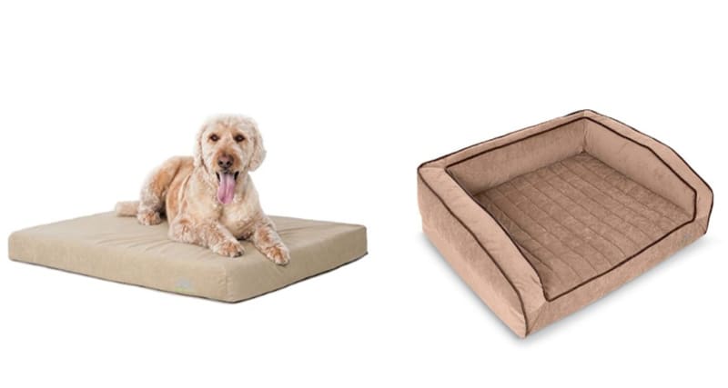 BuddyRest Dog Bed Reviews: Which One is Right for Your Dog?