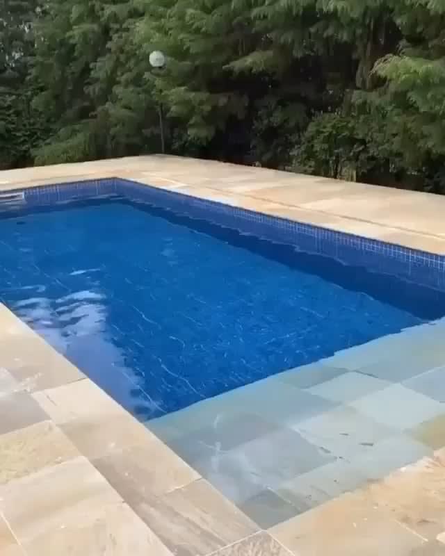 Anyone up for a swim?