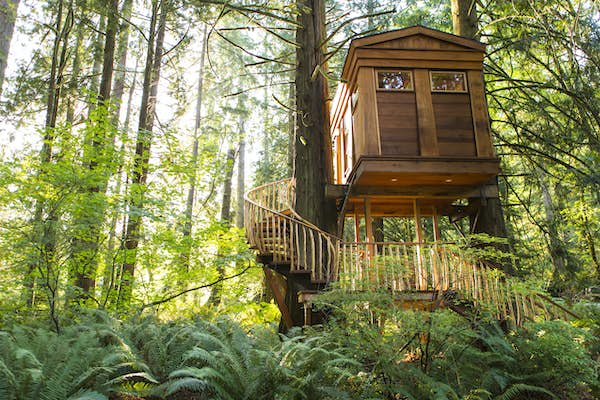 Best tree house vacation rentals in the USA