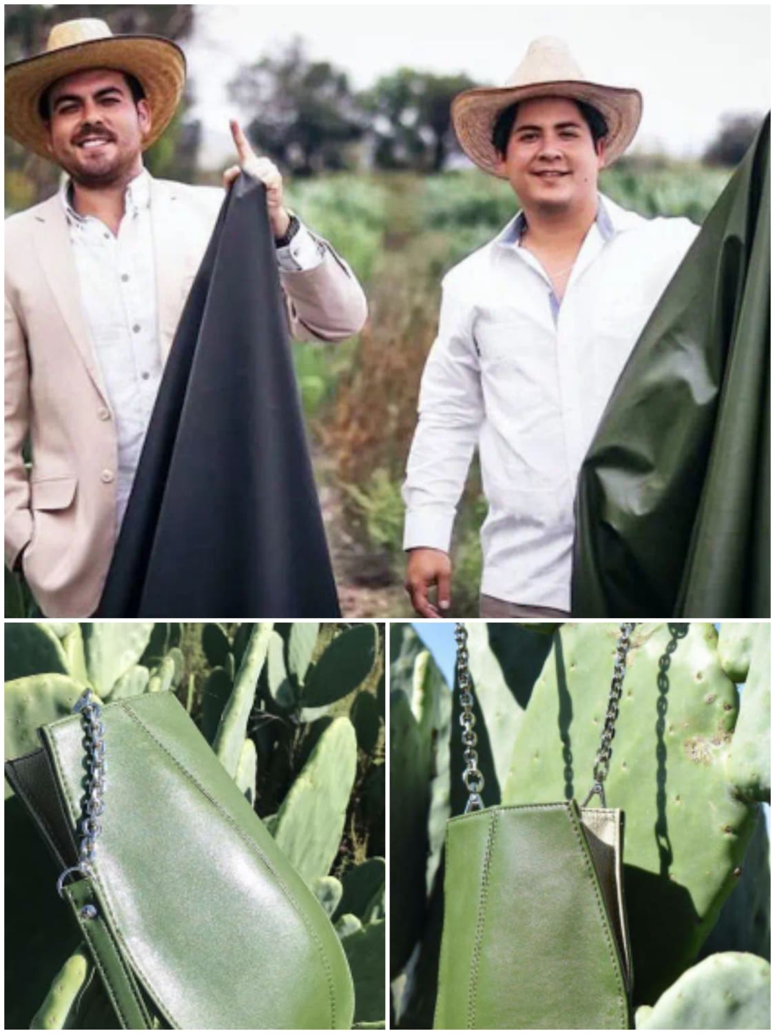 Two men Adrián Velarde & Marte Cázarez Created "Leather" from Cactus to save Animals and the Environment