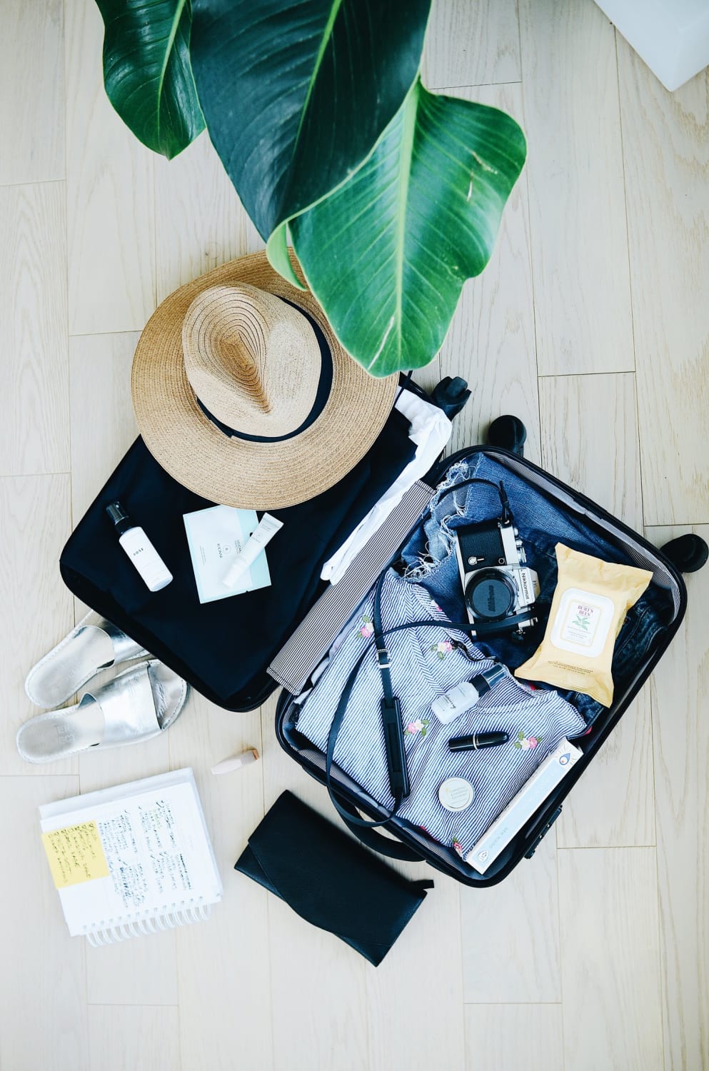 5 Must-Have Travel Essentials for Surviving a Long Flight