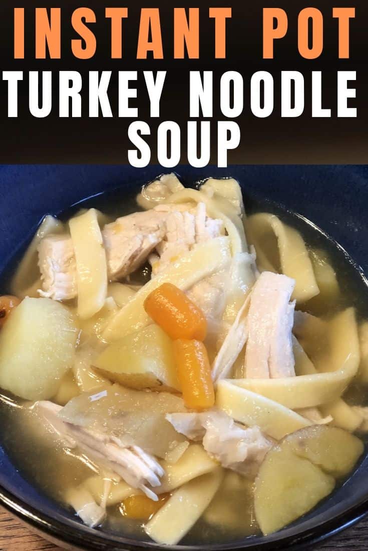 Instant Pot Turkey Noodle Soup