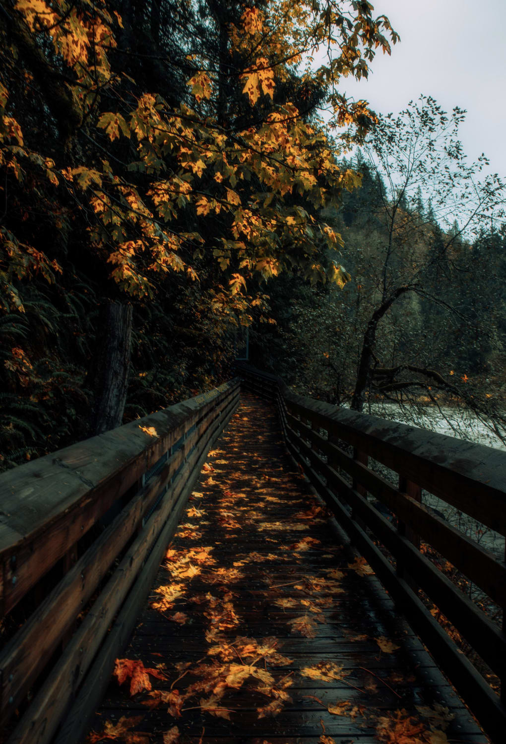 Fall in Washington State.
