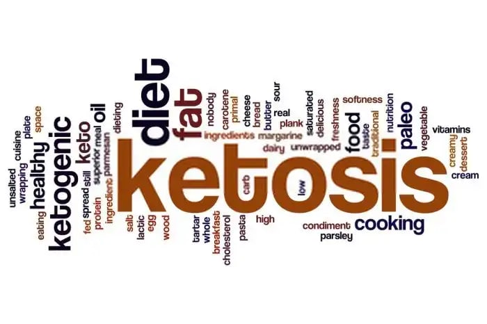 Discover How To Get Into Ketosis Quickly : 8 Proven Tips To Boost Your Ketosis - The Keto Forum