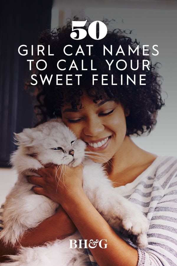 50 Girl Cat Names to Call Your Sweet Feline