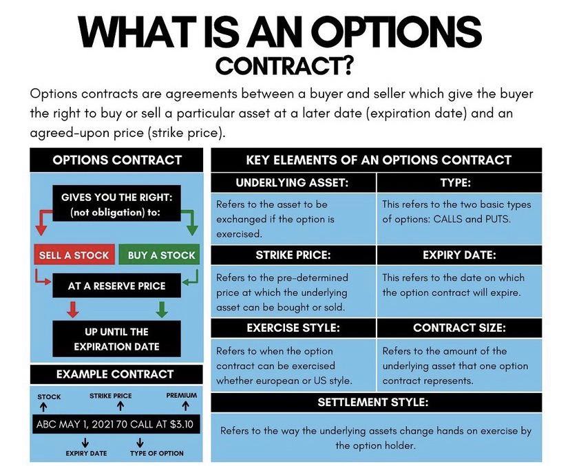 Options Explained [Infographic]