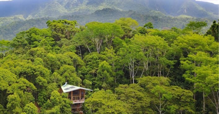 Get away from the urban chaos in one of these 8 amazing eco-friendly treehouses