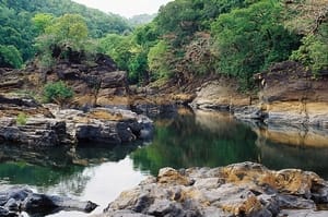 Cotigao Wildlife Sanctuary and National Park