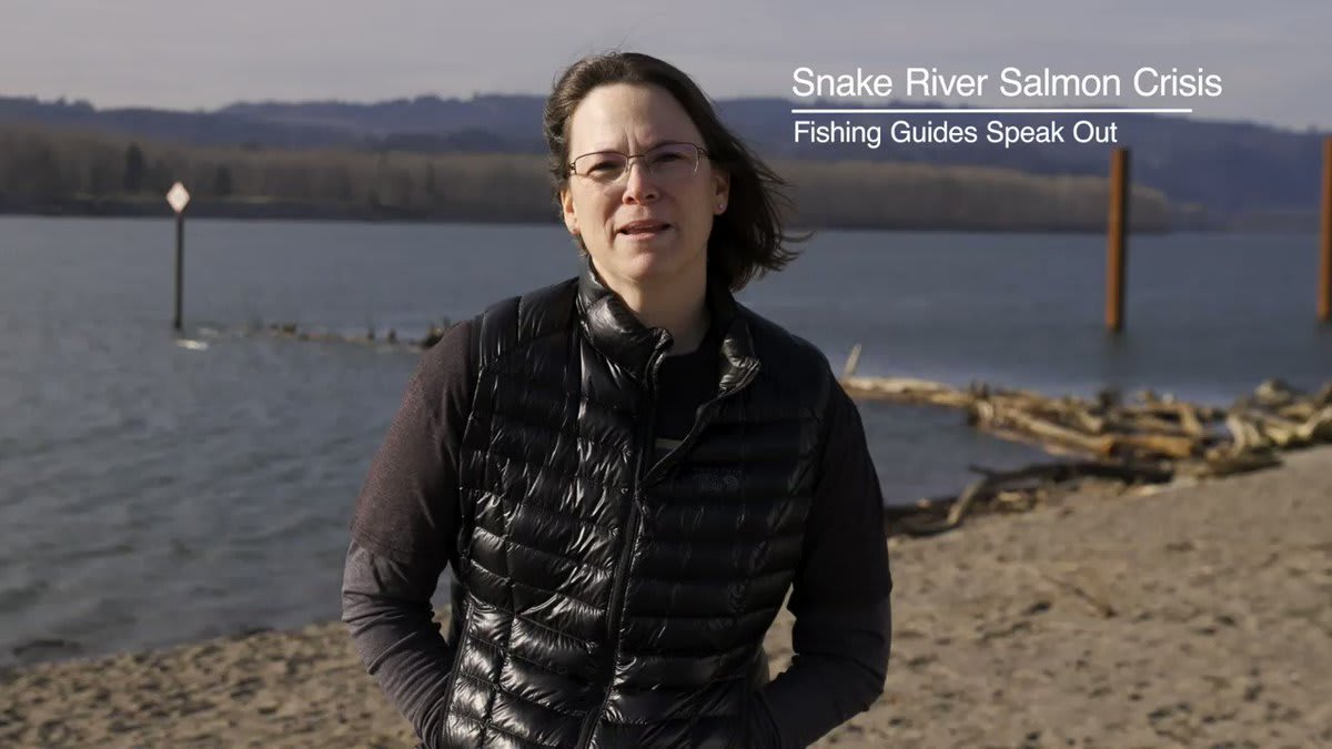 Meet Lacey Deweert, a recreational fishing guide in #WashingtonState. But there are very few salmon to fish. Without salmon, Lacey’s business won’t survive. She’s calling on elected leaders to act now: Remove the lower Snake River dams. SaveOurSalmon