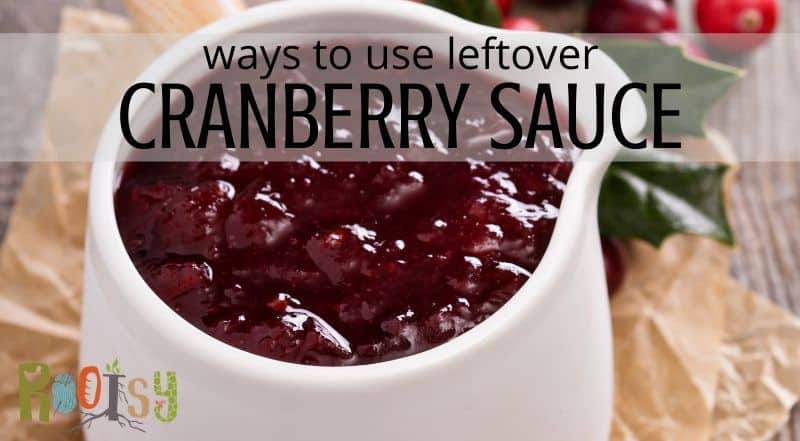 Ways to Use Leftover Cranberry Sauce
