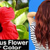 Hibiscus Flower Hair Color: Make Natural Hair Color at Home with Goodhull Flowers, Shiny and Healthy Hair