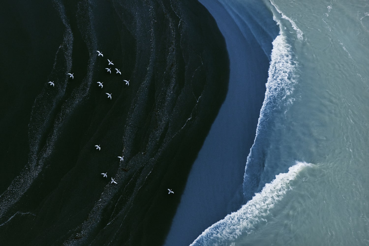Rugged Greenery and Soaring Birds Unite Abstracted Landscapes of Iceland and Botswana — Colossal