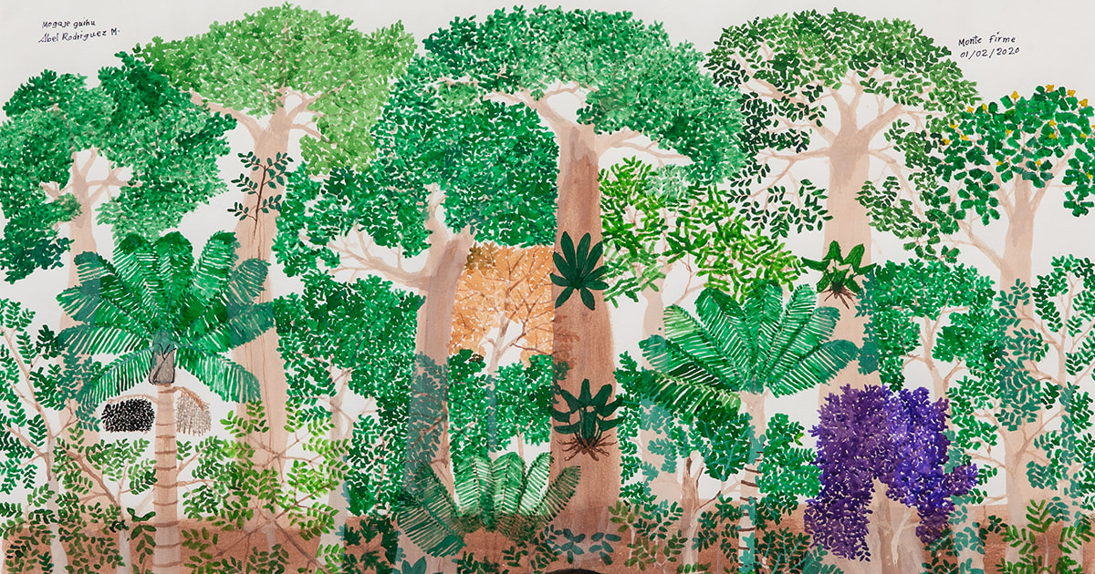 This Indigenous Artist Recreates the Rainforests He Used to Call Home