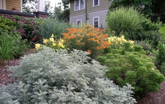 All About Xeriscape and Xeriscaping