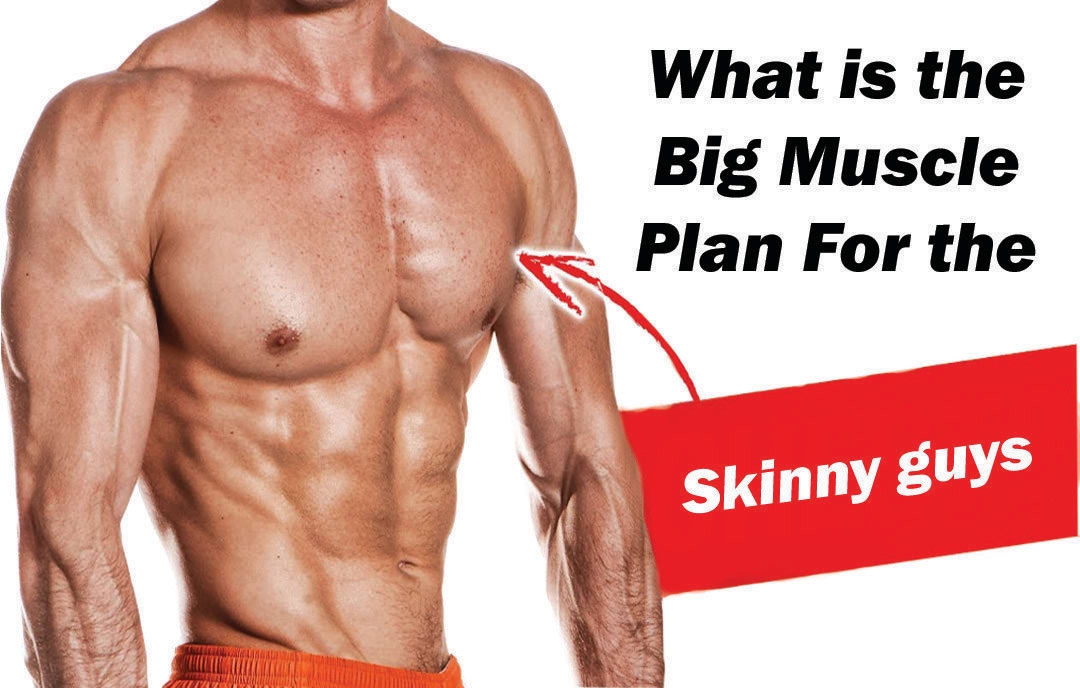 What is the Big Muscle Plan For the Skinny guys