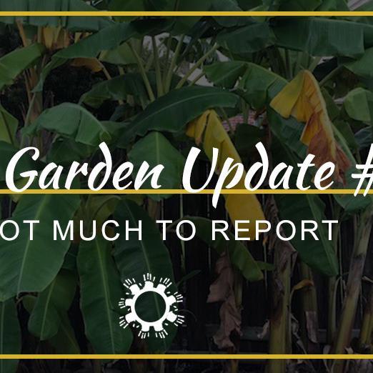 2018 Garden Update #20: Not Much to Report