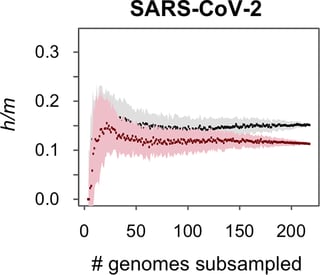 Recombination events are concentrated in the spike protein region of Betacoronaviruses