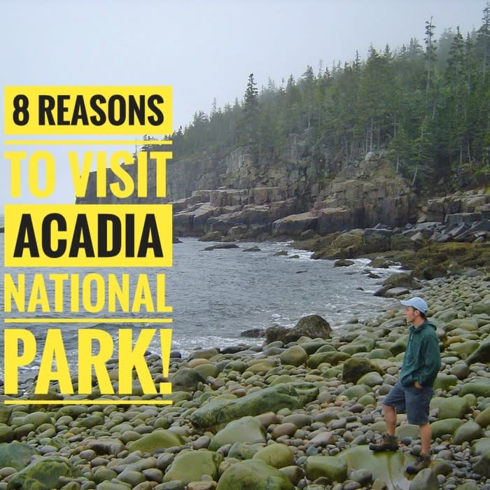 8 Reasons to Visit Acadia National Park in Bar Harbor, Maine!