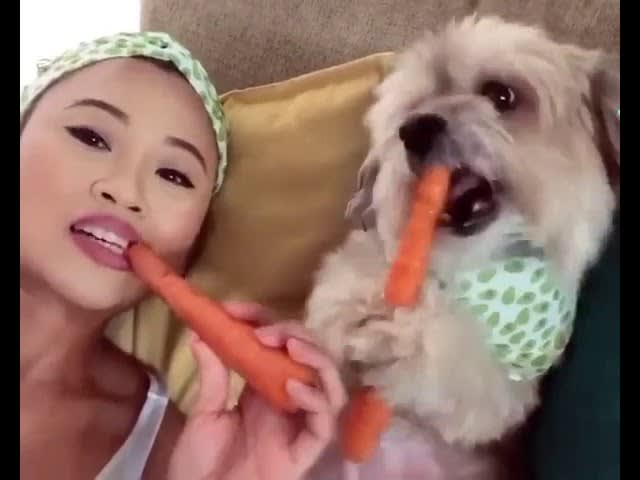 Dog Eats Carrot While Sitting Like Human Beside His Owner - 1074969