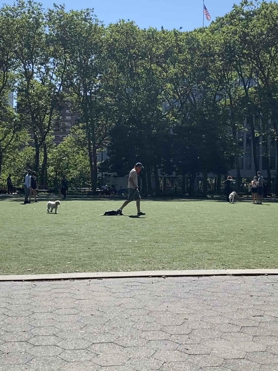 I guess he really doesn’t want to leave the park.