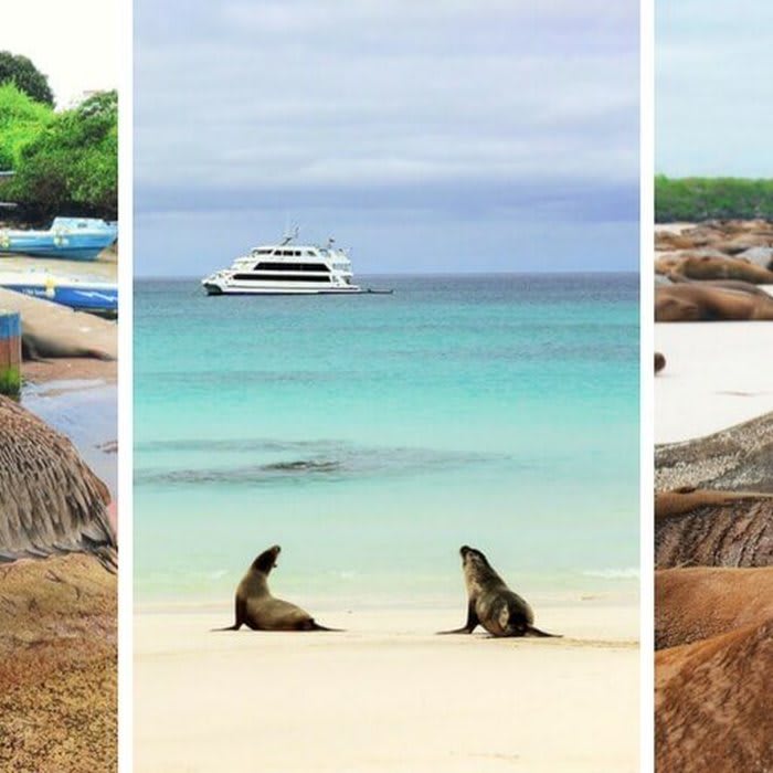 https://practicalwanderlust.com/2016/09/the-galapagos-islands-by-land-a-complete-guide.html
