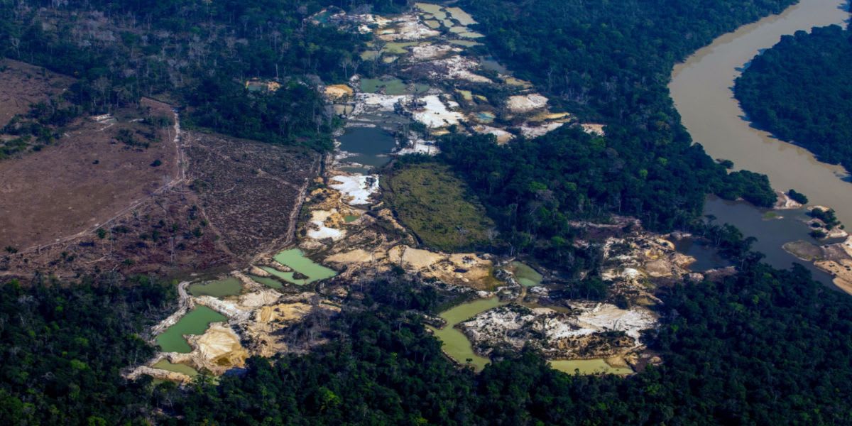 Brazil's Amazon Rainforest Is the Wild West for Illegal Gold Miners