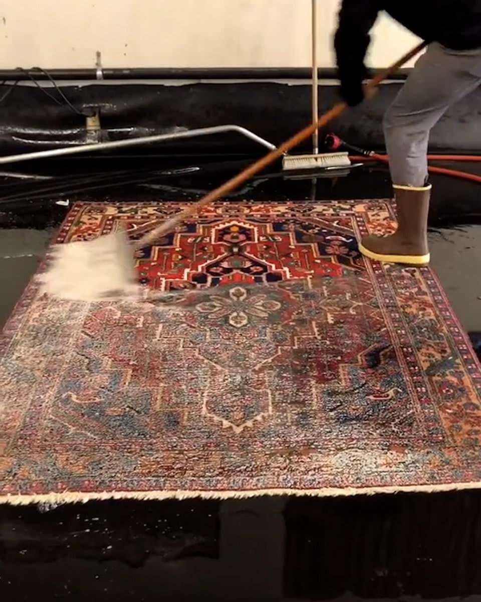 wondering how dirty my rug actually is now...